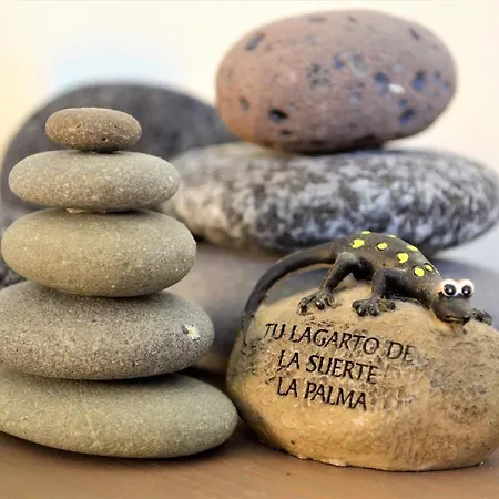 Gecko Apartment *