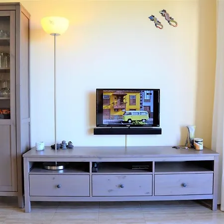 Gecko Apartment