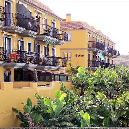 Gecko Lejlighed *
